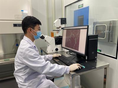 科技创新激活铜川高质量发展澎湃动力 新材料技术推广服务