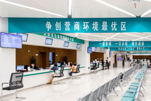 打造'溧即办'党建新品牌，让服务窗口成为'人心窗口'